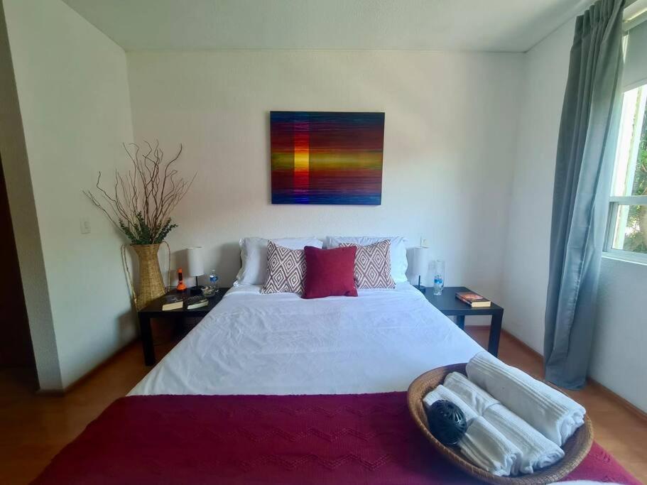 Apartmán Excelente Departamento En La Condesa Ciudad de México Exteriér fotografie